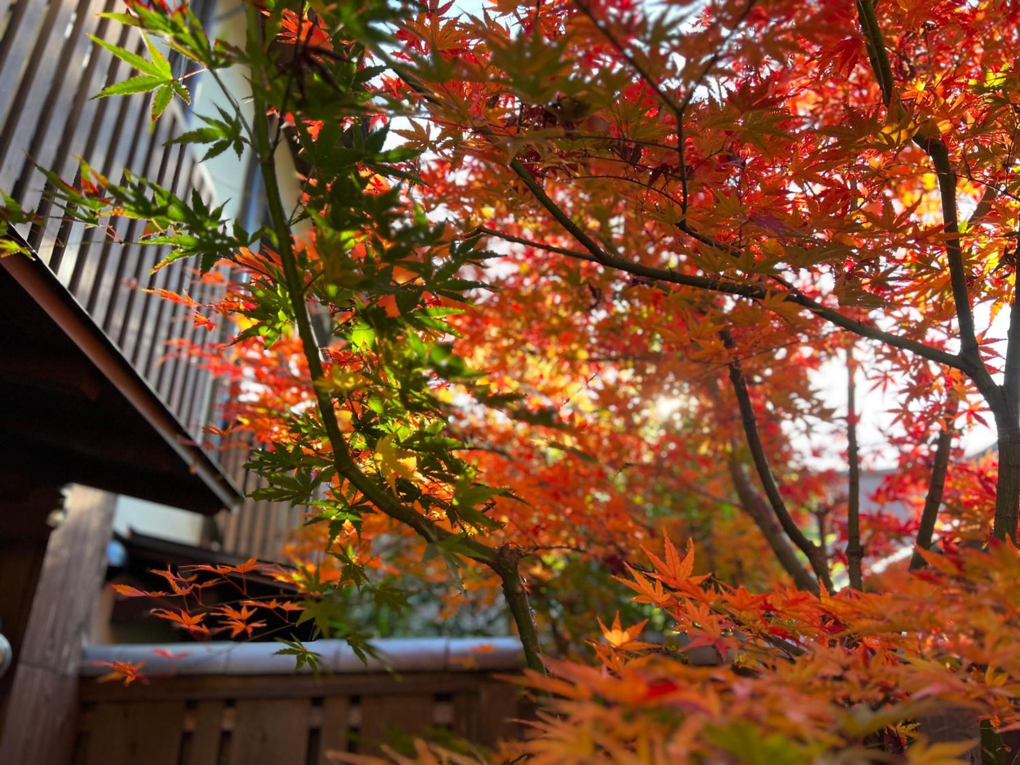 Imakumano Terrace - Dohachi An 道八庵 Villa Kyoto Exterior foto